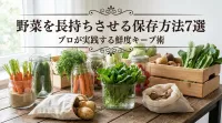 野菜を長持ちさせる保存方法7選｜プロが実践する鮮度キープ術